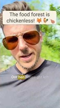 🐓 Rebuilding After A Fox Took Our Chickens #FoodForest #RegenerativeAgriculture