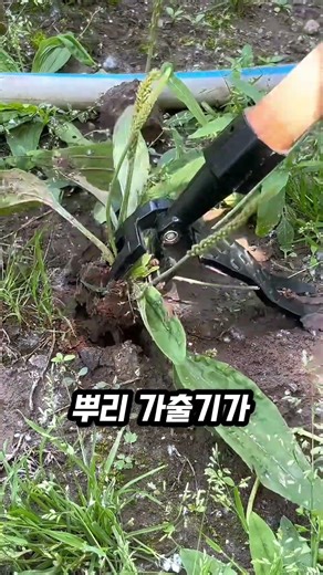 풀 뽑다 허리 끊어지면 나만 손해! 영혼까지 털어버리는 무식한 뿌리 제거기 등장!