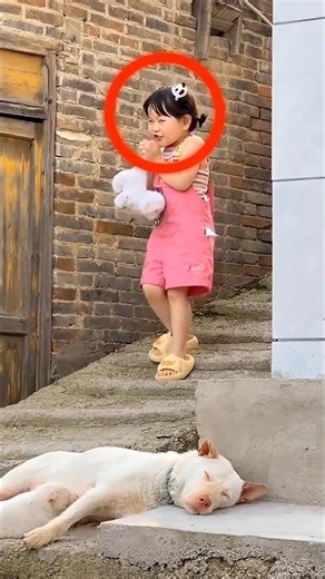 Girl swaps puppy with toy dog 😱 #trending #shortsvideo