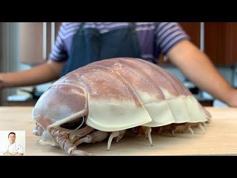 GRAPHIC: LIVE GIANT Isopod Fried Rice | Real Life Pokemon Kabuto | Isopod Cooking Hour