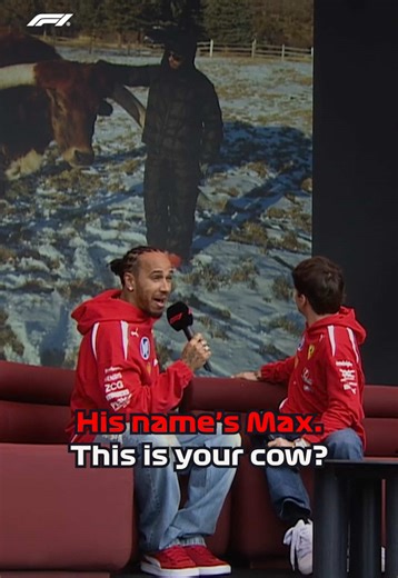 Lewis Hamilton's Cow Named Max: A Fun F1 Story