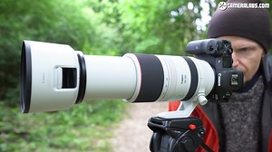 Canon RF 100-500mm上手初体验