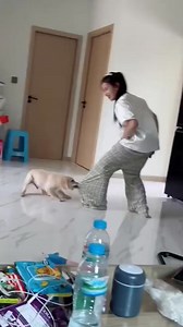 100K views · 487 reactions | Dog.mod | Kpk vevo | Facebook