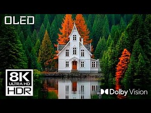 8K MAX Resolution HDR Dolby Vision™ | Ultra-Detailed OLED Demo