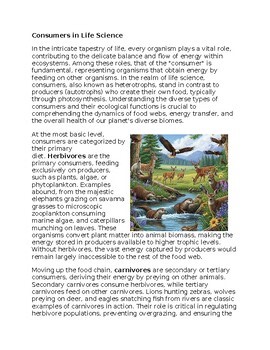 Consumer in Life Science Worksheet for Sub-Plan or Classwork & Homework