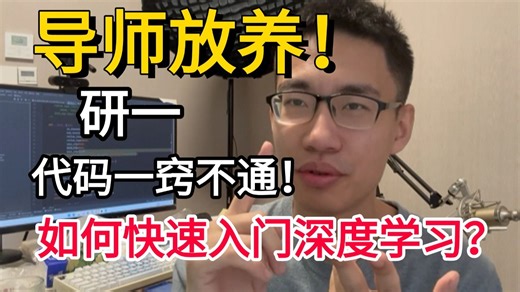 导师放养！研一入门深度学习，代码完全不会，该如何快速掌握？迪哥2分钟教你理顺入门深度学习重点，原理入门 项目实战，零基础也能上手！AI、人工智能、pytorch
