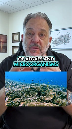Why the Ocean Is More Important Than Trees David Attenborough has spent most of his life exploring the natural world. He’s seen how important the ocean is in keeping our planet alive. While trees help clean the air, the ocean does it nonstop, all year round. Packed with algae and tiny life forms, it works quietly to keep us breathing. Share this post if you want to help spread awareness about the importance of protecting our oceans. #DavidAttenborough #OceanConservation #ClimateChangeAwareness |