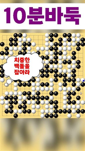 좌변 치중 급소! 백대마를 잡아라 | Tygem 2Dan Baduk | 左辺の白大石を攻め落とせ 10분바둑
