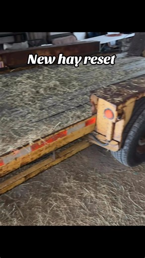 Come reset our hay stack with us! #farmwork #FarmTok #pettingzoo #fallcleaning #livestockshowlife | RCC Farm Experience