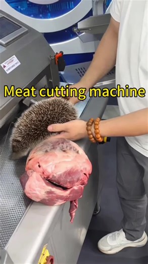 Advanced Slicing Technology for Meat Processing