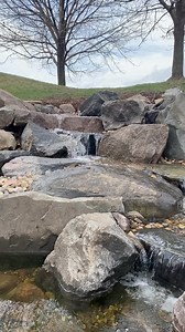 These fish are enjoying their renovated waterfall 🐟 #koi #koifish #koipond #underwater #waterfall | just add water