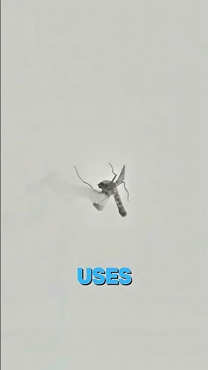 This Laser Automatically Kills Mosquitoes! 😱 #mosquitodefense #gadget