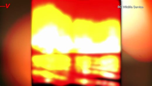 Check Out This Fire Whirl That Took Over Canada