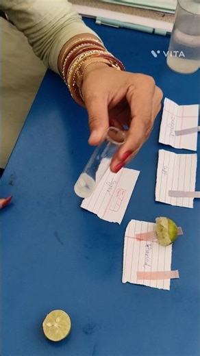 Sugar vs litmus the results #chemistry #lab #experiment
