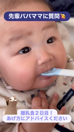 おさな | 離乳食２日目！ 動物に餌あげるみたいで楽しい！笑 けども、果たしてこんなあげ方であってるの？？ アドバイスください笑 #離乳食 #baby #ママ #育児の悩み #育児記録 | Instagram