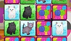 Cat Memory Game