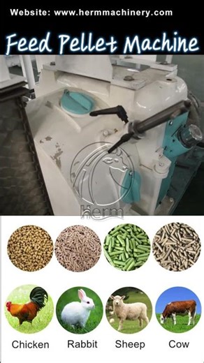 Feed Mill Machine for Making Poultry and Chicken Feed Pellet - Herm Machinery #feedpelletplant