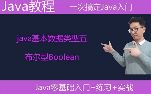 Java教学|Java基本数据类型五|布尔型Boolean|编程教学|编程基础课|编程语言