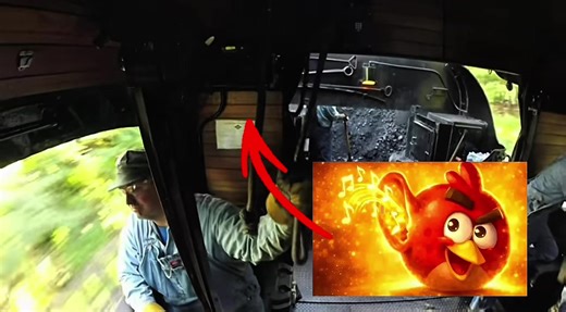 Probably the best restored steam locomotive in active service #fypシ #reading #bluemountain #2102 #peak