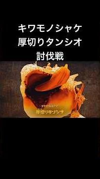 キワモノシャケ、厚切りタンシオ討伐戦 #スプラトゥーン #スプラトゥーンレイダース #シャケ