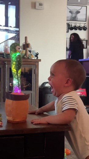 Funny cactus toy prank#baby #funnyvideos #pranks #funny #usa