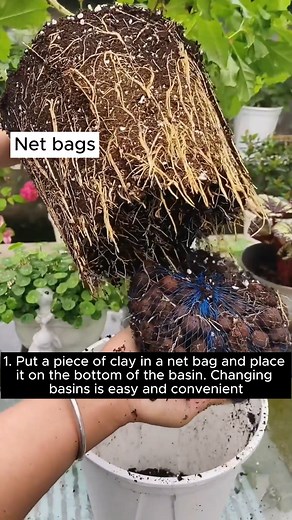 1.6M views · 7.7K reactions | 3 ways to utilize mesh bags #gardening #gardentools #gardeningtools #tool #tools #gardeningmakemehappy #handtools #cooltools #satisfying #gardeners #gardeninspiration #gardening #trees #tree #treesofinstagram #treestreestrees #treestagram #gardeningtips | Addicted Gardening | Facebook