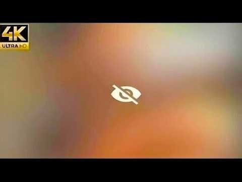 Shein Micro Bikini & Transparent Outfit Try-On | Fashion Review Haul [4K]