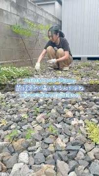 【注意】虫刺され！リンパ浮腫予防