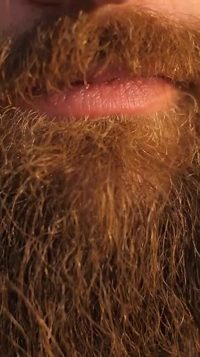 What happens when you dont shave 🤯 - #beard #beardlook #bearded #beardsoftiktok #beardstyles #beardlove #tiktok #fy #viral #fyp #foryoupage #fypシ #foryou #beardeddragon