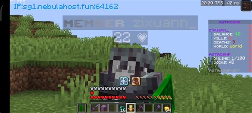 Cracked Server Infuse x Lifesteal: Minecraft Adventure Part 10