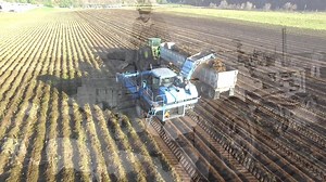 Did you know that Silver Spring Foods employs over 300 people and produces over 100 million pounds of product a year!? Are you interested in joining the team? Apply today! For more information visit the link below: https://www.silverspringfoods.com/connect/employment/ | Silver Spring Foods, Inc.