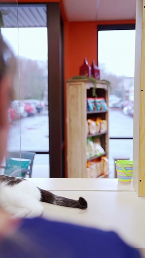 Hilarious Veterinary Clinic Visit | Funny Animal Clinic Moments
