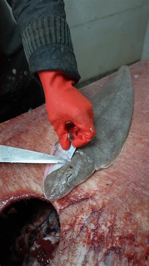 Removing Tongue Fish Skin | Dover Sole Clean