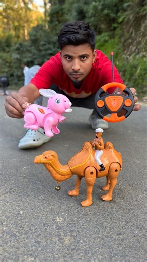 Rc Pink khargosh 🆚 Remote Control Camel Unboxing