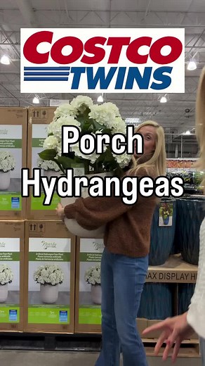 Stunning Porch Hydrangeas That Look Real