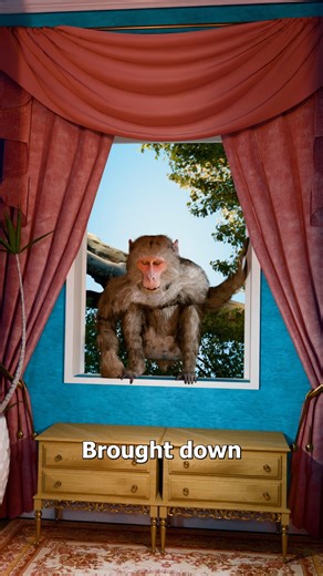 The Monkey That Brought Down King Alexander 😨 | Zack D. Films