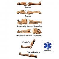 Posiciones anatómicas