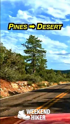 From Pines to Desert Skies 🌲➡️🌵 | Scenic Drive on Arizona’s Highway 87
