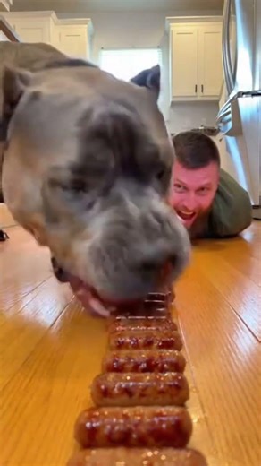 Dog vs Human Sausage Race 😂🐶 | Breakfast Went OFF the Rails