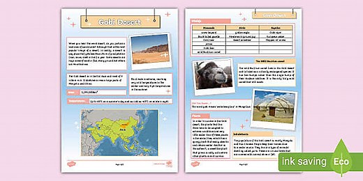 KS2 All About the Gobi Desert Fact File