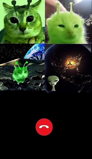 ZIB ZAB ZORB :3 #alien #cat #fyp