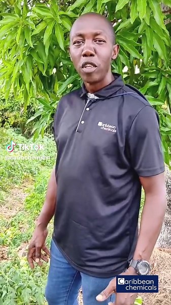 🚨 Quick Farm Tip: Beat Leafminers Fast! 🐛🪴 Rotate Caprid & Cure to knock out leafminers before they spread! 🧪 Mix 2.5–5 mL per 3.8L (½–1 tsp/gal) 🔁 Rotate applications to prevent resistance and protect your crops! 💡 Smart farming = consistent results. Stay ahead, stay productive! #FarmTipTuesday #LeafminerControl #CapridAndCure #AgriSolutions #HealthyCrops #SmartFarming #PestControlTips