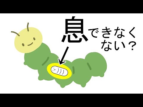 【ゆっくり解説】寄生虫は体の中でどうやって呼吸しているの？【第一回いい質問大賞】