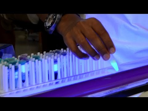 Purification of Green Fluorescent Protein, Part I