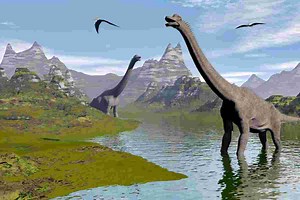 Why Did Brachiosaurus Have A Bump On His Head? | Surprising Reasons Find Out Now | Adventure Dinosaurs