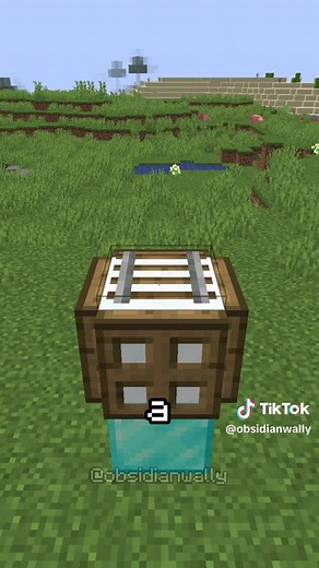 Repairing Elytra and Phantom Membrane Farm in Minecraft