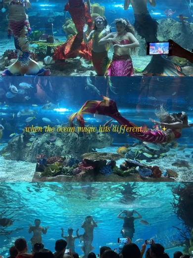 Experience the Magic of Our Lunar New Year Mermaid Show