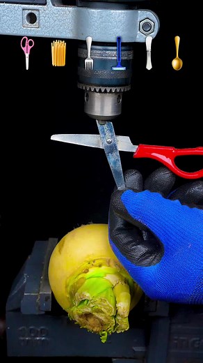 Drilling Scissors into Yellow Turnip: A Satisfying Experiment