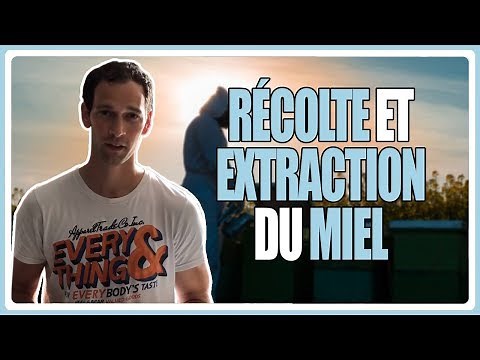 récolte et extraction du miel