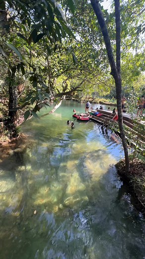 Amazing 💚🇧🇷 #brazil #viral #Amazing #beatiful | Destinos Mato Grosso do Sul